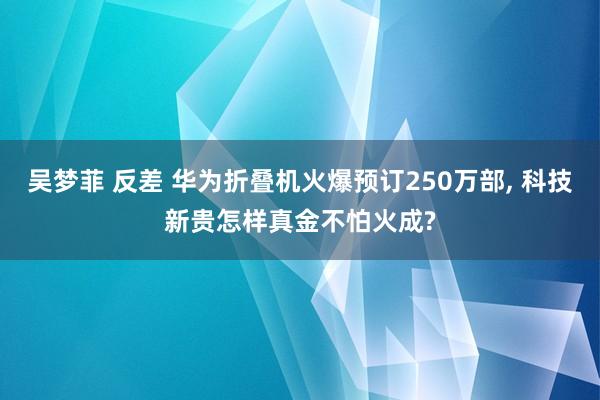 吴梦菲 反差 华为折叠机火爆预订250万部， 科技新贵怎样真金不怕火成?