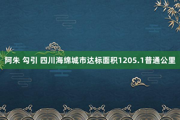 阿朱 勾引 四川海绵城市达标面积1205.1普通公里