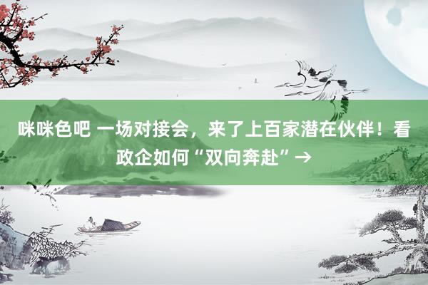 咪咪色吧 一场对接会，来了上百家潜在伙伴！看政企如何“双向奔赴”→