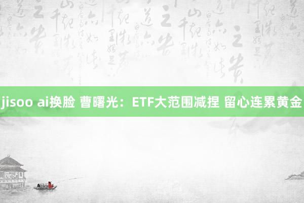 jisoo ai换脸 曹曙光：ETF大范围减捏 留心连累黄金