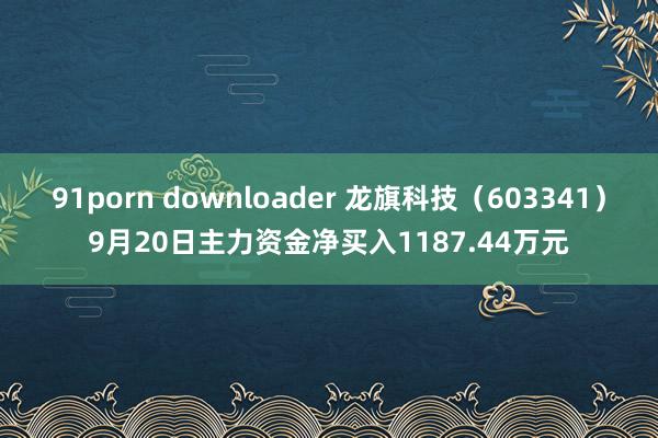 91porn downloader 龙旗科技（603341）9月20日主力资金净买入1187.44万元