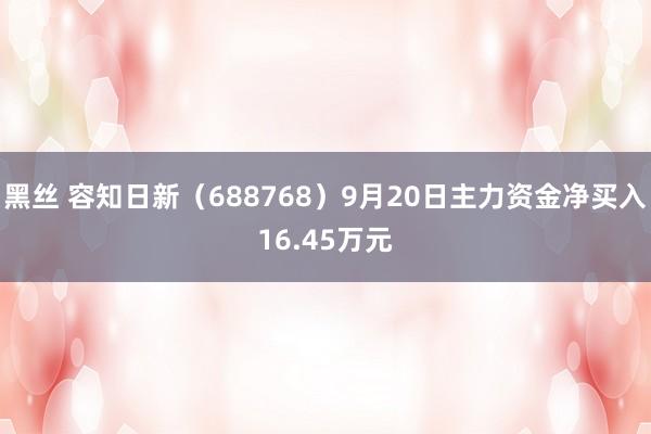 黑丝 容知日新（688768）9月20日主力资金净买入16.45万元