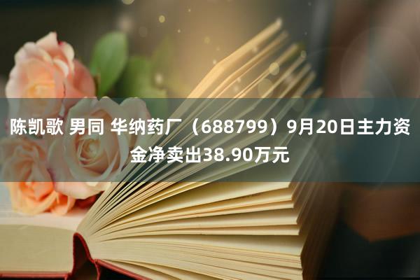 陈凯歌 男同 华纳药厂（688799）9月20日主力资金净卖出38.90万元