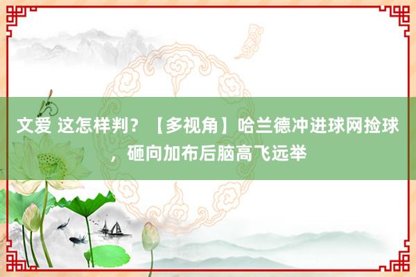 文爱 这怎样判？【多视角】哈兰德冲进球网捡球，砸向加布后脑高飞远举