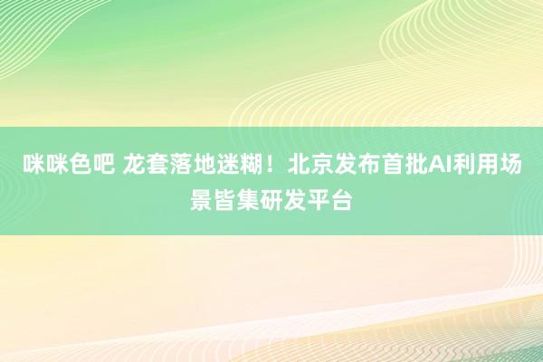 咪咪色吧 龙套落地迷糊！北京发布首批AI利用场景皆集研发平台