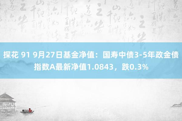 探花 91 9月27日基金净值：国寿中债3-5年政金债指数A最新净值1.0843，跌0.3%