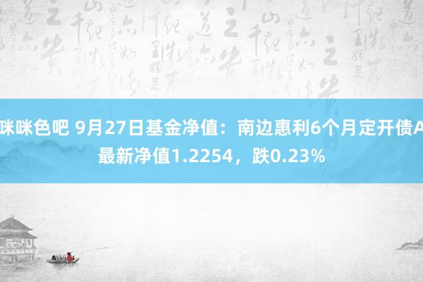 咪咪色吧 9月27日基金净值：南边惠利6个月定开债A最新净值1.2254，跌0.23%