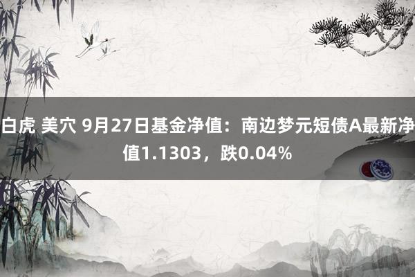 白虎 美穴 9月27日基金净值：南边梦元短债A最新净值1.1303，跌0.04%