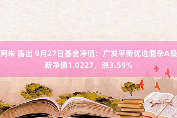 阿朱 露出 9月27日基金净值：广发平衡优选混杂A最新净值1.0227，涨3.59%