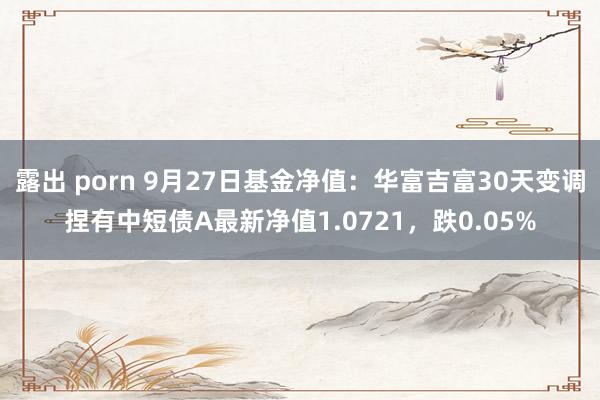 露出 porn 9月27日基金净值：华富吉富30天变调捏有中短债A最新净值1.0721，跌0.05%