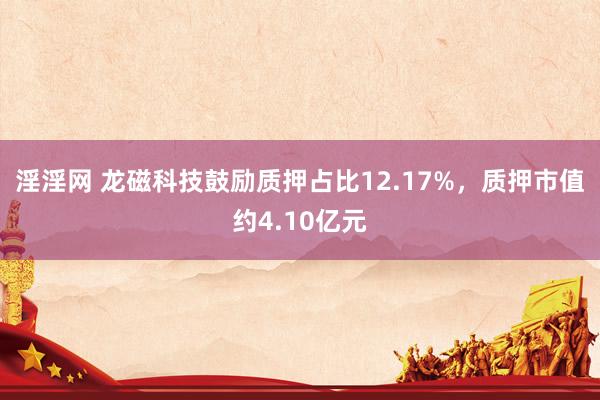 淫淫网 龙磁科技鼓励质押占比12.17%，质押市值约4.10亿元