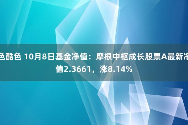 色酷色 10月8日基金净值：摩根中枢成长股票A最新净值2.3661，涨8.14%