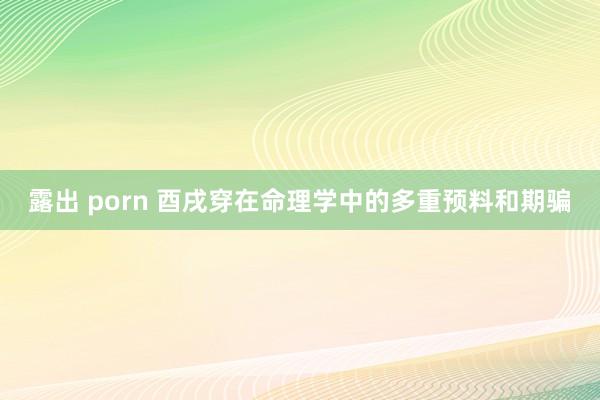 露出 porn 酉戌穿在命理学中的多重预料和期骗