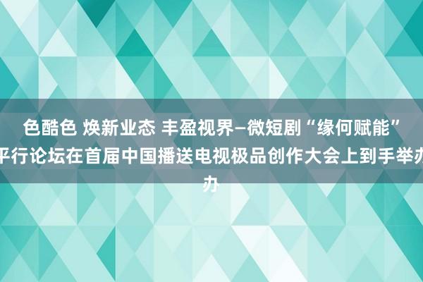 色酷色 焕新业态 丰盈视界—微短剧“缘何赋能”平行论坛在首届中国播送电视极品创作大会上到手举办