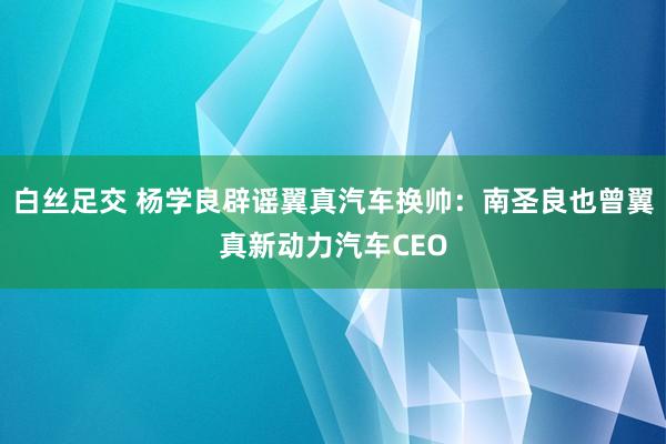 白丝足交 杨学良辟谣翼真汽车换帅：南圣良也曾翼真新动力汽车CEO