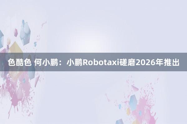 色酷色 何小鹏：小鹏Robotaxi磋磨2026年推出