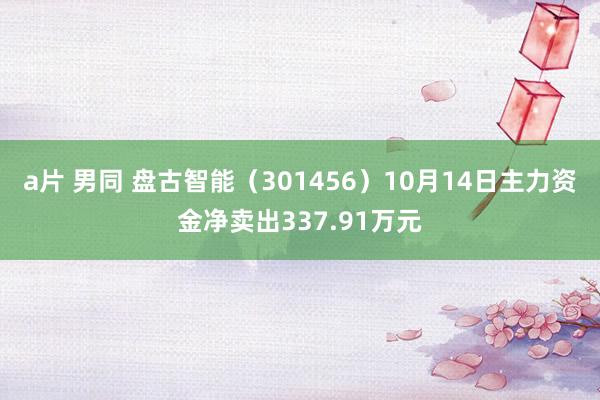 a片 男同 盘古智能（301456）10月14日主力资金净卖出337.91万元