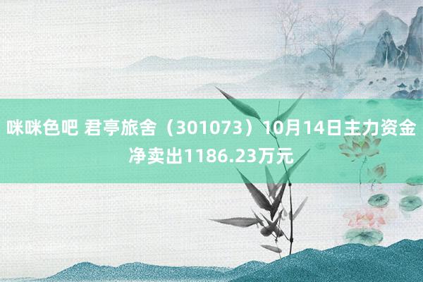 咪咪色吧 君亭旅舍（301073）10月14日主力资金净卖出1186.23万元