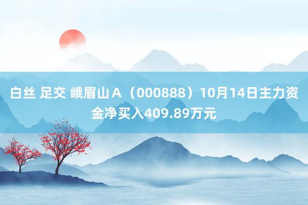 白丝 足交 峨眉山Ａ（000888）10月14日主力资金净买入409.89万元