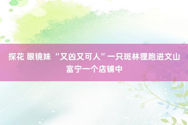 探花 眼镜妹 “又凶又可人”一只斑林狸跑进文山富宁一个店铺中