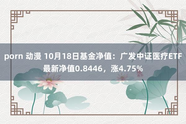 porn 动漫 10月18日基金净值：广发中证医疗ETF最新净值0.8446，涨4.75%