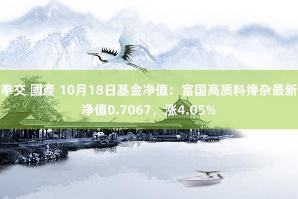 拳交 國產 10月18日基金净值：富国高质料搀杂最新净值0.7067，涨4.05%