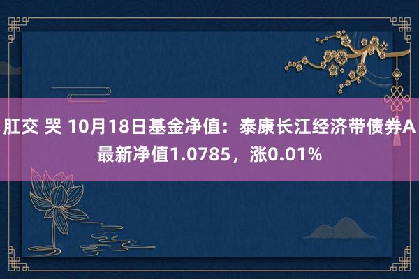 肛交 哭 10月18日基金净值：泰康长江经济带债券A最新净值1.0785，涨0.01%