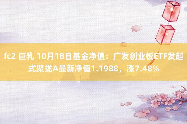 fc2 巨乳 10月18日基金净值：广发创业板ETF发起式聚拢A最新净值1.1988，涨7.48%