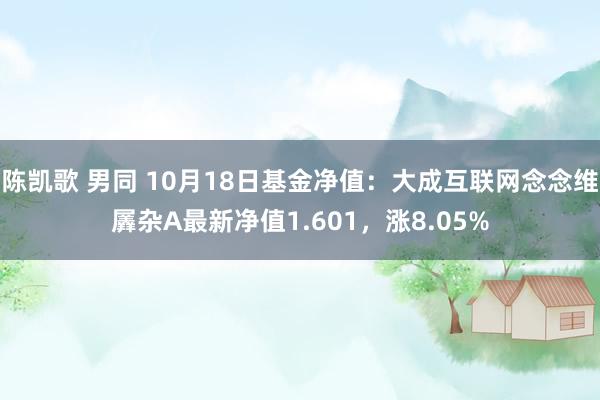 陈凯歌 男同 10月18日基金净值：大成互联网念念维羼杂A最新净值1.601，涨8.05%