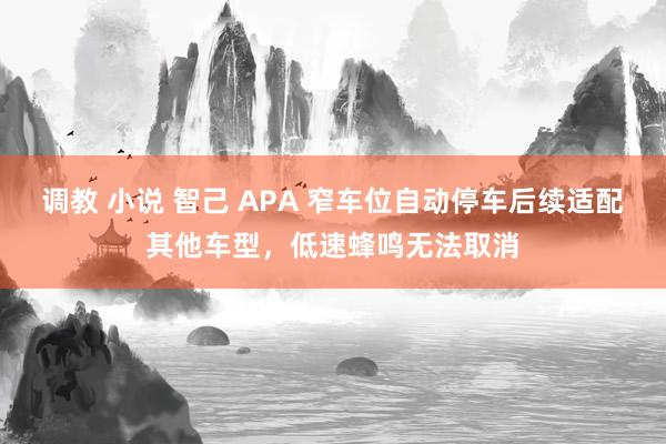 调教 小说 智己 APA 窄车位自动停车后续适配其他车型，低速蜂鸣无法取消