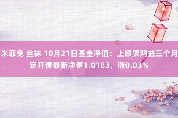 米菲兔 丝袜 10月21日基金净值：上银聚鸿益三个月定开债最新净值1.0183，涨0.03%