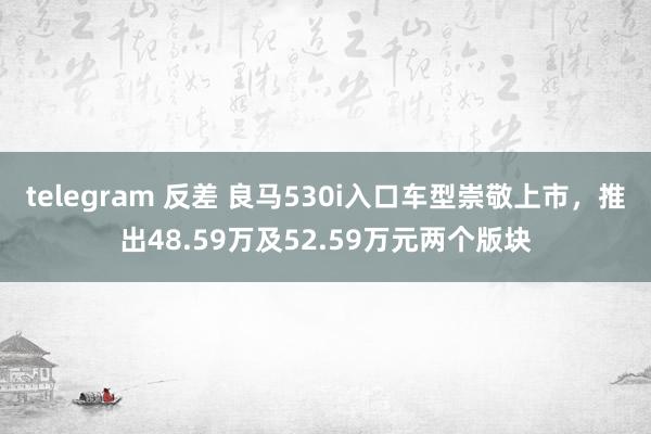 telegram 反差 良马530i入口车型崇敬上市，推出48.59万及52.59万元两个版块