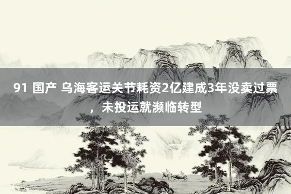 91 国产 乌海客运关节耗资2亿建成3年没卖过票，未投运就濒临转型