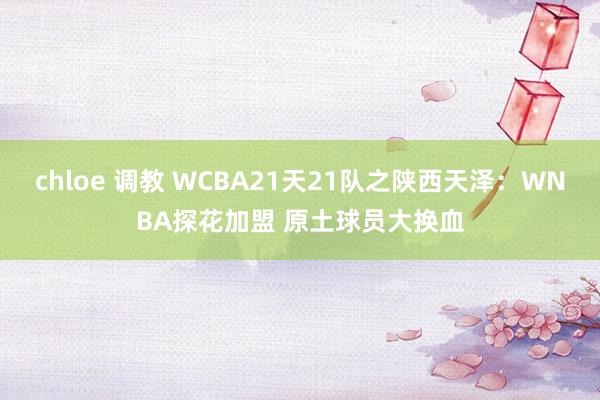 chloe 调教 WCBA21天21队之陕西天泽：WNBA探花加盟 原土球员大换血